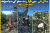 فاجعه جنگل زدایی در فندقلو به روایت تصاویر ماهواره ای