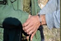 دستگیری و زندانی شکارچی روباه در چالوس/ آماده باش محیط بانان در تعطیلات