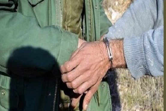 دستگیری و زندانی شکارچی روباه در چالوس/ آماده باش محیط بانان در تعطیلات