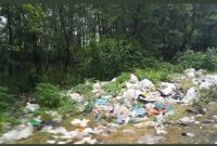 گردشگران از رهاسازی زباله در مناطق مختلف خودداری کنند