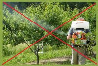 تداوم درختکاری در شورابیل و یادآوری یک نکته مهم