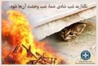 رنج و اذیت حیوانات با صدای انفجار ترقه و نارنجک چهارشنبه سوری