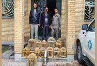 کشف 15 قفس چوبی و 12 کبک وحشی از منزل شکارچی کردستانی