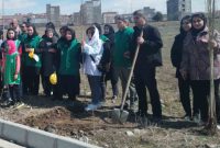 اهدای 290 نهال توسط خیّر محیط زیستی در شهرستان نمین
